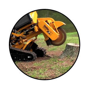 Toledo Stump Grinding and Removal